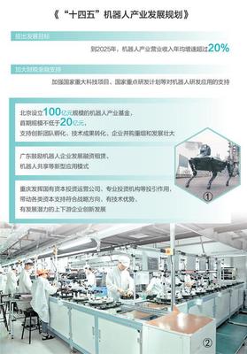 政策引领，服务赋能 重庆信息技术咨询助力机器人产业蓬勃发展